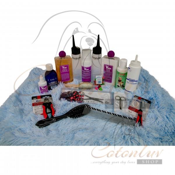 Cotonluv Set CPH Puppy Starter incl. Mason Pearson BN Pocket for only 58EUR